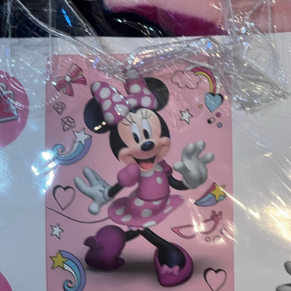 MINNIE MOUSE Raschel Twin Size Blanket‎ - Picture 2 of 3